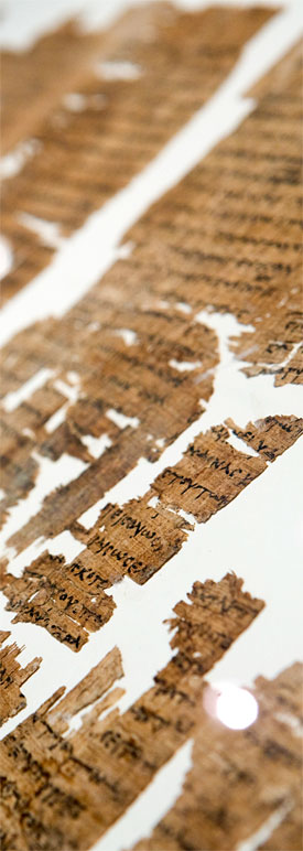 Aufnahme Papyrus papyrus-275.jpg